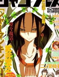 Shaman King Zero